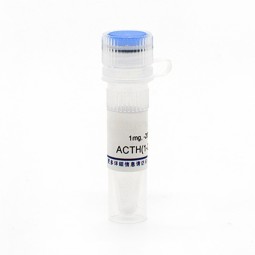 Prestained Protein Marker Supplier - OEM Western Blot Sharp Bands