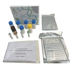 Chicken LH ELISA Kit Supplier - OEM Serum Pituitary Tissue Analysis