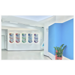 Chicken LH ELISA Kit Supplier - OEM Serum Pituitary Tissue Analysis