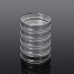 Petri Dishes Supplier - OEM 35-100mm Vented Lid