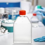 Culture Flask Factory - OEM 25-175cm² Vent Cap