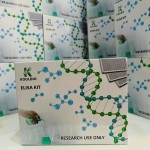 Angiotensin I ELISA Kit Manufacturer - OEM 96-Well Custom Chemical Service