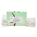 JC-1 Assay Kit Supplier - OEM Live Cell Membrane Potential Monitoring