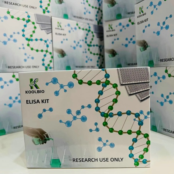 MUC5AC ELISA Kit Manufacturer - OEM Human Mucin Subtype Detection