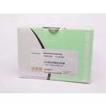 DAPI Stain Factory - OEM Nuclear DNA Staining Reagent