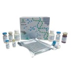 Crystal Violet Supplier - OEM Gram Staining DNA Visualization