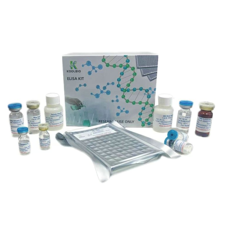 Small RNA Kit Manufacturer - OEM Spin Column miRNA Extraction