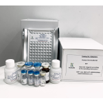 Equine LH ELISA Kit Manufacturer - OEM Horse Reproductive Research