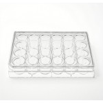 24-Well Plate Factory - OEM PS Sterile Ready-to-Use
