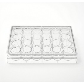 24-Well Plate Factory - OEM PS Sterile Ready-to-Use