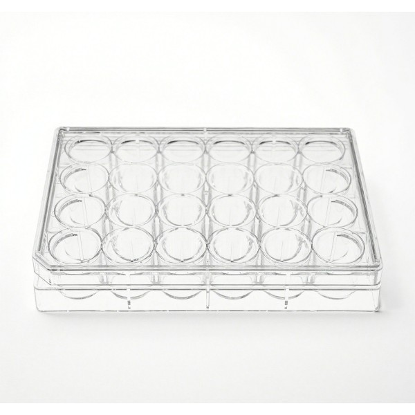 24-Well Plate Factory - OEM PS Sterile Ready-to-Use