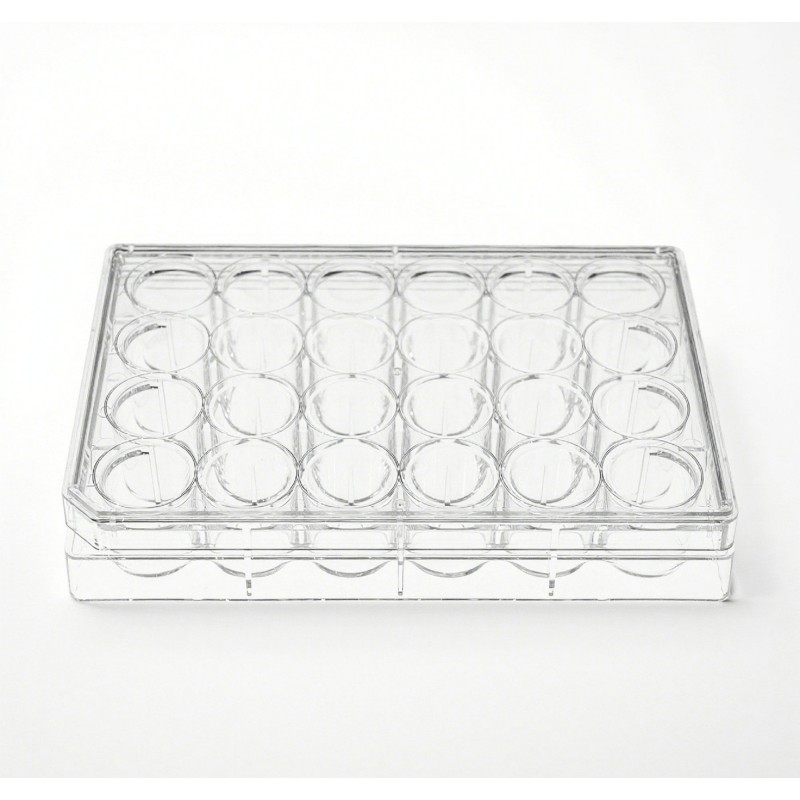 24-Well Plate Factory - OEM PS Sterile Ready-to-Use