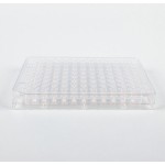 24-Well Plate Factory - OEM PS Sterile Ready-to-Use
