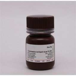 Coomassie Blue Manufacturer - OEM Protein Gel Staining Reagent