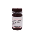 Crystal Violet Supplier - OEM Gram Staining DNA Visualization