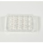 6-Well Plate Supplier - OEM TC-Treated Cell Culture
