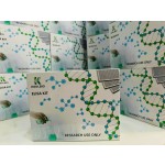 Animal DNA Kit Factory - OEM Tissue Genomic DNA Isolation