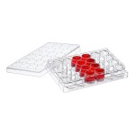 Petri Dishes Supplier - OEM 35-100mm Vented Lid