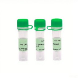 Methylene Green Manufacturer - OEM Microbiology Staining Reagent