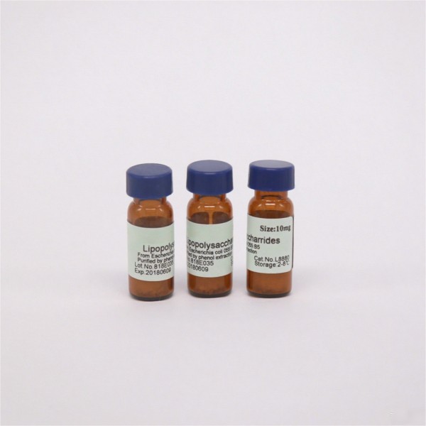 DAPI Stain Factory - OEM Nuclear DNA Staining Reagent