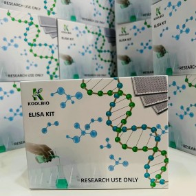 Adropin ELISA Kit Factory - OEM High Sensitivity Serum Plasma Test