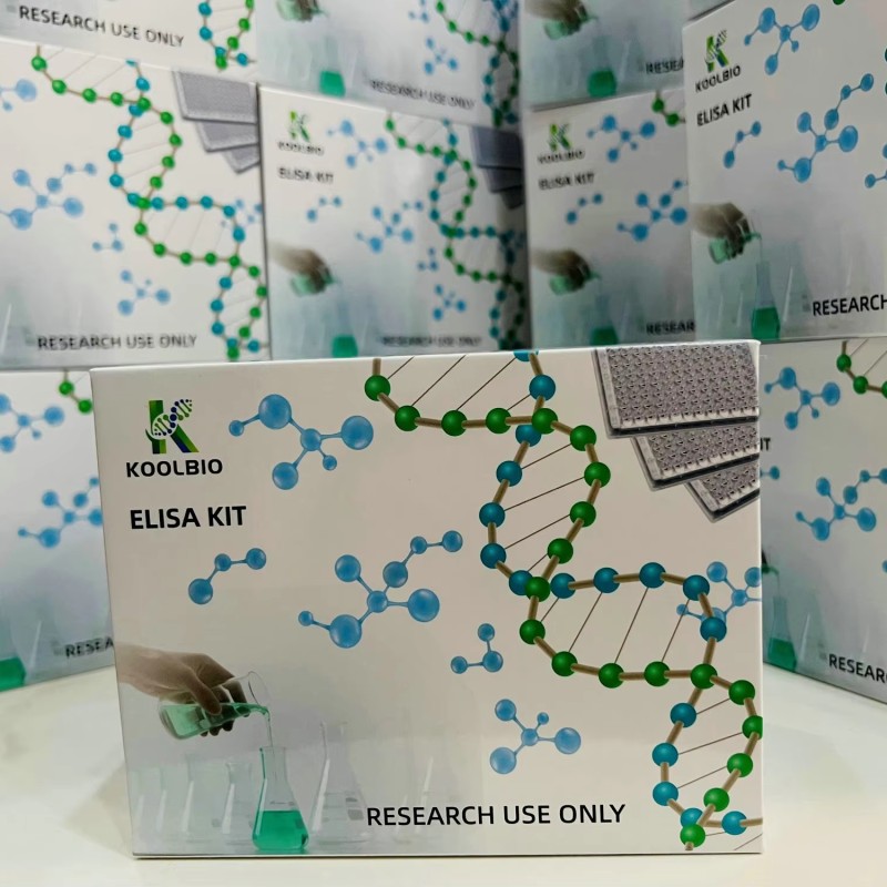 Adropin ELISA Kit Factory - OEM High Sensitivity Serum Plasma Test