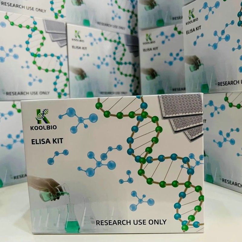 MUC5AC ELISA Kit Factory - OEM Bronchoalveolar Lavage Fluid Test