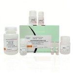 L-Glutamine Factory - OEM 99.5% Cell Culture Grade