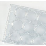 24-Well Plate Factory - OEM PS Sterile Ready-to-Use