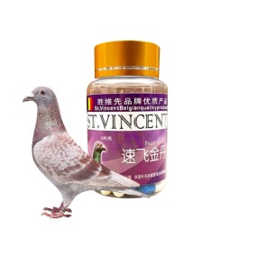 Fast Fly Capsules Factory - Racing Pigeon Performance Enhancement