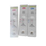 Veterinary Test Kit Factory - Dog CDV Rapid Diagnostic