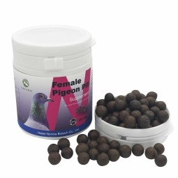 Female Pigeon Enhancement Pills Supplier - Breeding Performance Boost