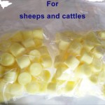 Sheep Goat Sponge Manufacturer - 40mg Effective Breeding Yellow