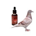 Pigeon Energy Liquid Factory - Turbo Peak Racing Support