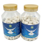 Pigeon Fish Oil Capsules Factory - Racing Bird Strength Enhancement