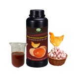 Astaxanthin Serum Oil Factory - 1000ml Fish Supplement Liquid