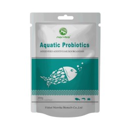 Fish Feed Binder Manufacturer - Probiotic Concentrate Aquatic