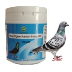 Fast Fly Capsules Factory - Racing Pigeon Performance Enhancement