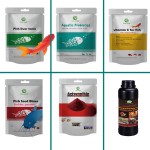 Aquatic Anti-stress Supplement Supplier - Temperature Resistance Growth