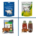 Animal Milk Replacer Manufacturer - Piglet Calf Protein Nutrition