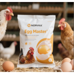 Chicken Feed Premix Factory - Layers Egg Booster Custom