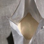 Aquatic Feed Enzyme Manufacturer - Catfish Tilapia Growth Booster