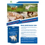 Livestock Growth Booster Supplier - Poultry Fattening Feed additive
