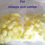 Sheep CIDR Insert Supplier - Ewe Vaginal Breeding Device