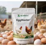 Egg Booster Premix Supplier - Layers Chicken Feed Enhancement