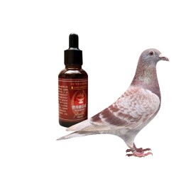 Pigeon Oxygen Supplement Manufacturer - Match Set Liquid Support