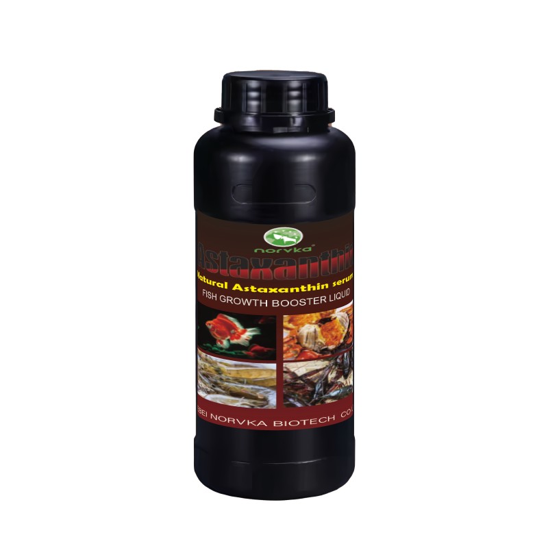 Astaxanthin Serum Oil Factory - 1000ml Fish Supplement Liquid