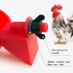Pigeon Feeder Bowl Supplier - Poultry Drinking Water Accessories