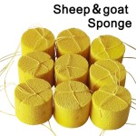 Cattle Vaginal Sponge Supplier - Cow Female Breeding Reproduction