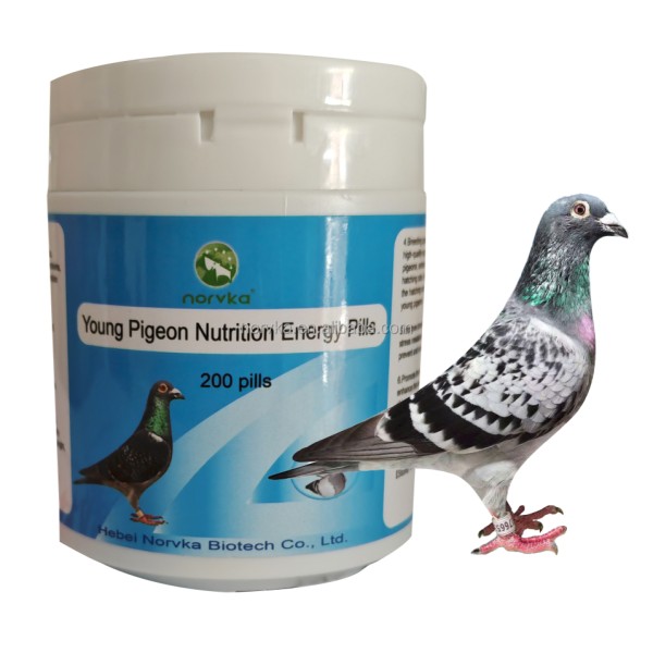 Pigeon Vitamin Supplements Manufacturer - Young Bird Nutrition 200 Pills